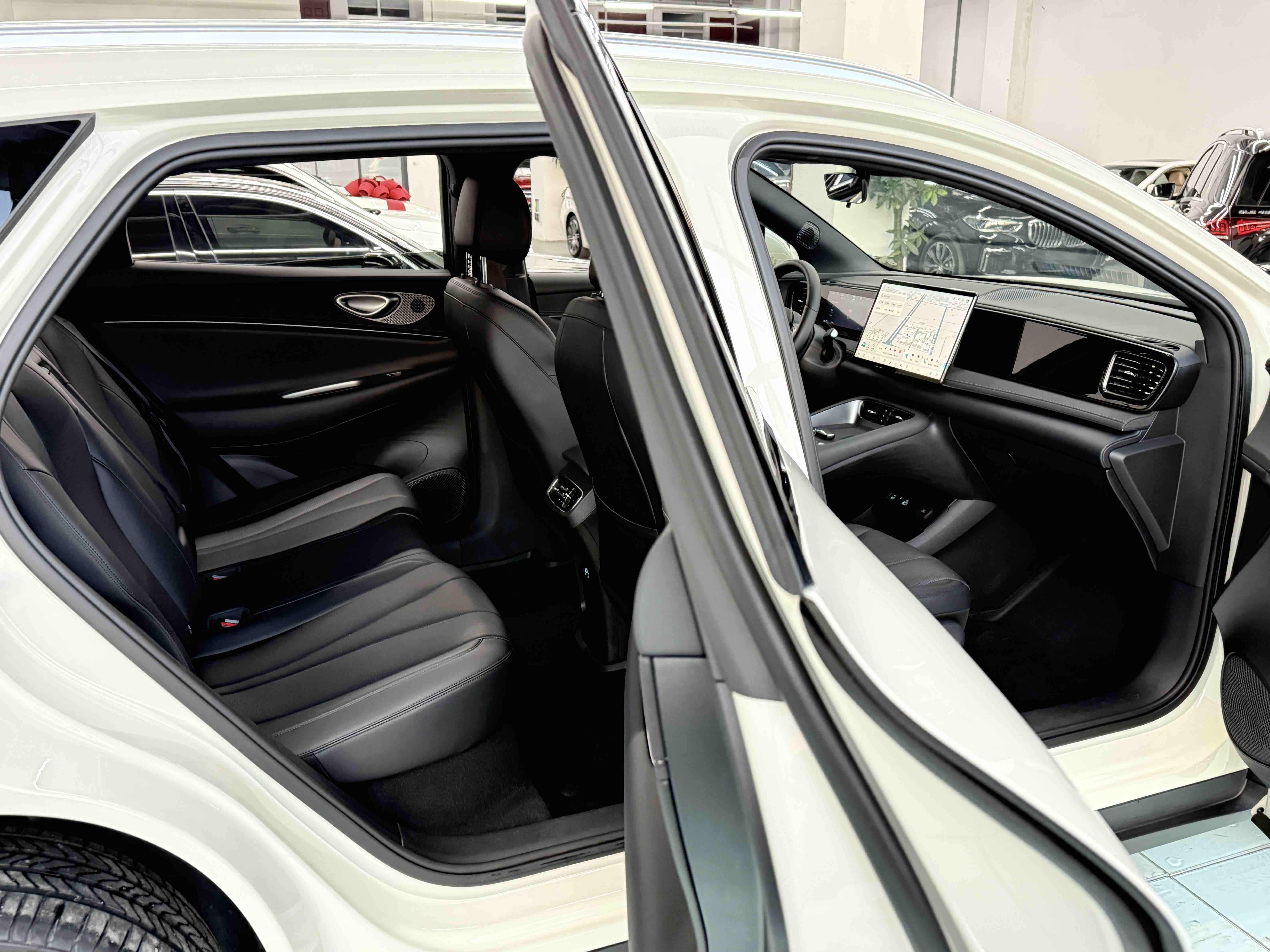 BYD Sea Lion 06 New Energy 2025 car image #30