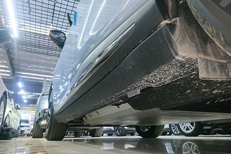 Neta L 2025 imagen de coche #30