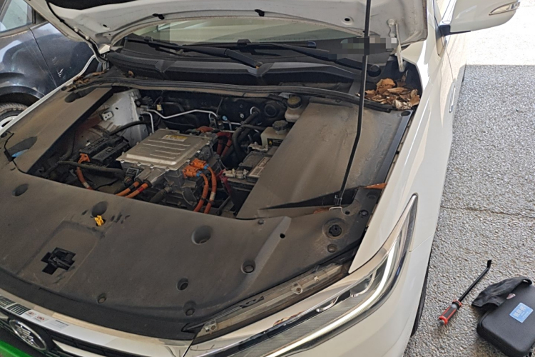 BYD Qin New Energy 2021 car image #30