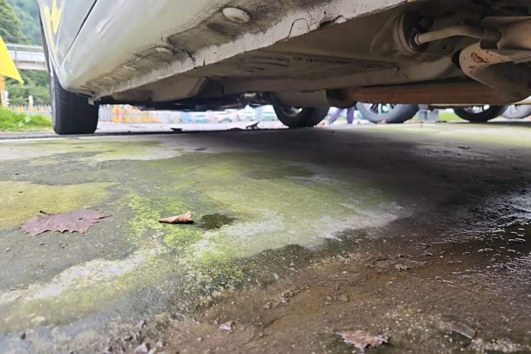 Kaiyi E3 2018 car image #30