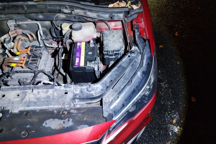 MG EZS Electric 2019 car image #30