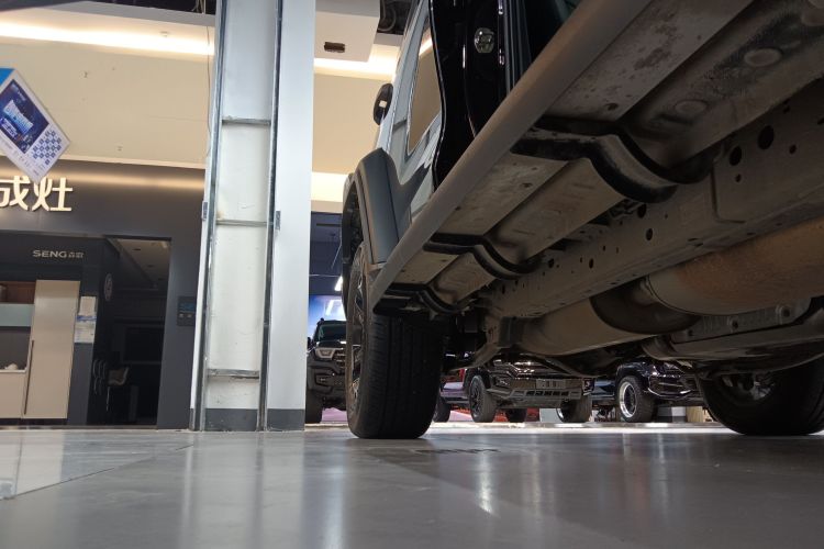 Tank 300 New Energy 2025 car image #30