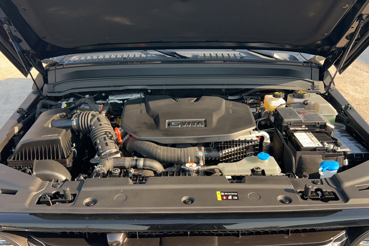 Tank 300 New Energy 2024 #30 Tank 300 New Energy 2024 immagine di auto #30