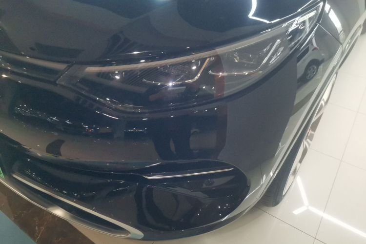 Denza X 2022 image de voiture #30