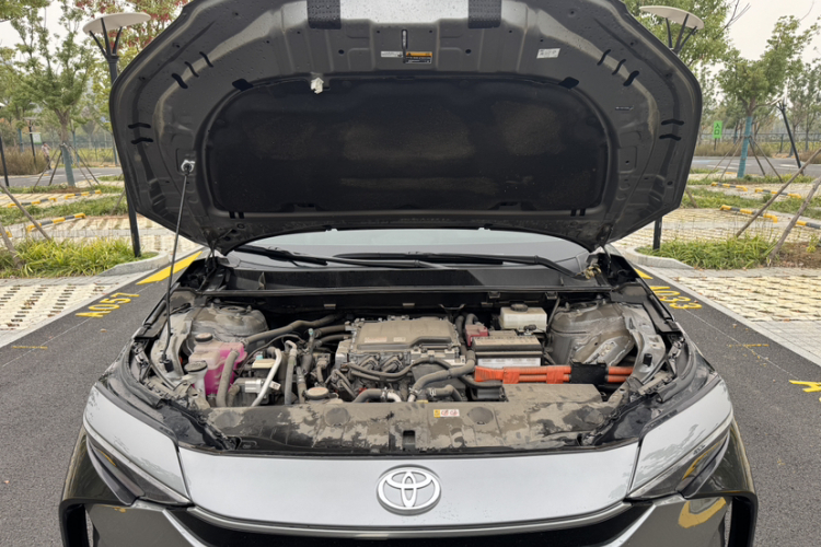 Toyota Bozhi 4X 2024 #30 Toyota Bozhi 4X 2024 car image #30