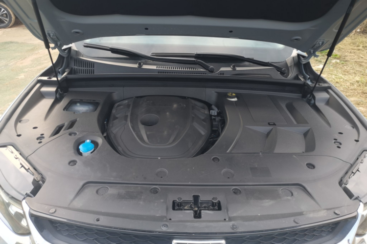 GEELY Tugella S 2021 car image #30