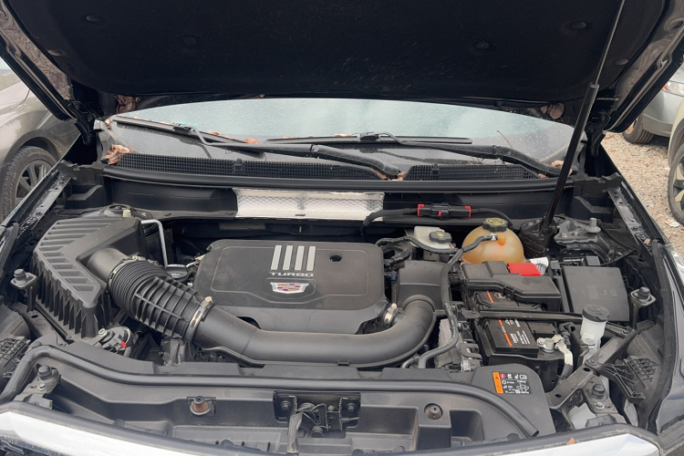 Volkswagen 2022 car image #30