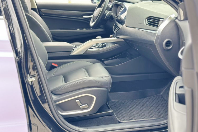 GEELY Tugella 2020 car image #30