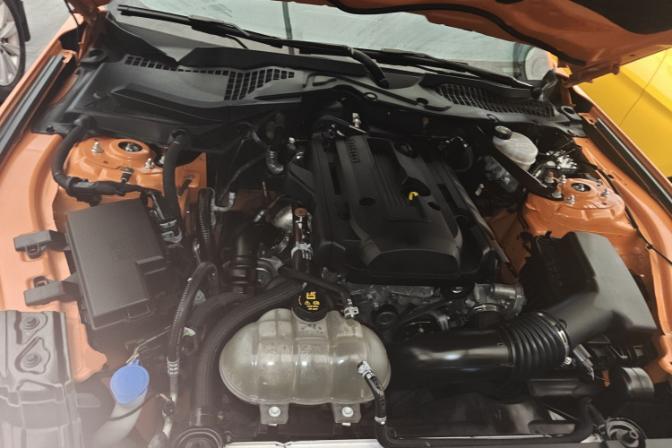 Ford Mustang 2022 #30 Ford Mustang 2022 car image #30