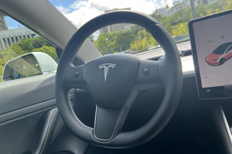 Tesla Model 3 2020 car image #30