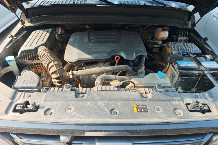 Tank 300 2021 car image #30