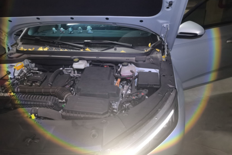 BYD Qin L 2024 #30 BYD Qin L 2024 car image #30