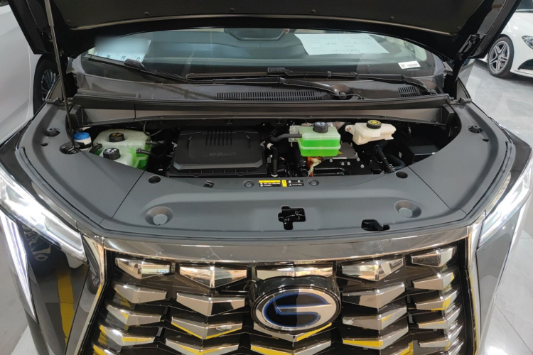 GAC Trumpchi Xiangwang M8 2025 car image #30