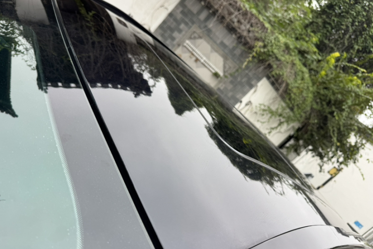 Exceed TX 2022 car image #30