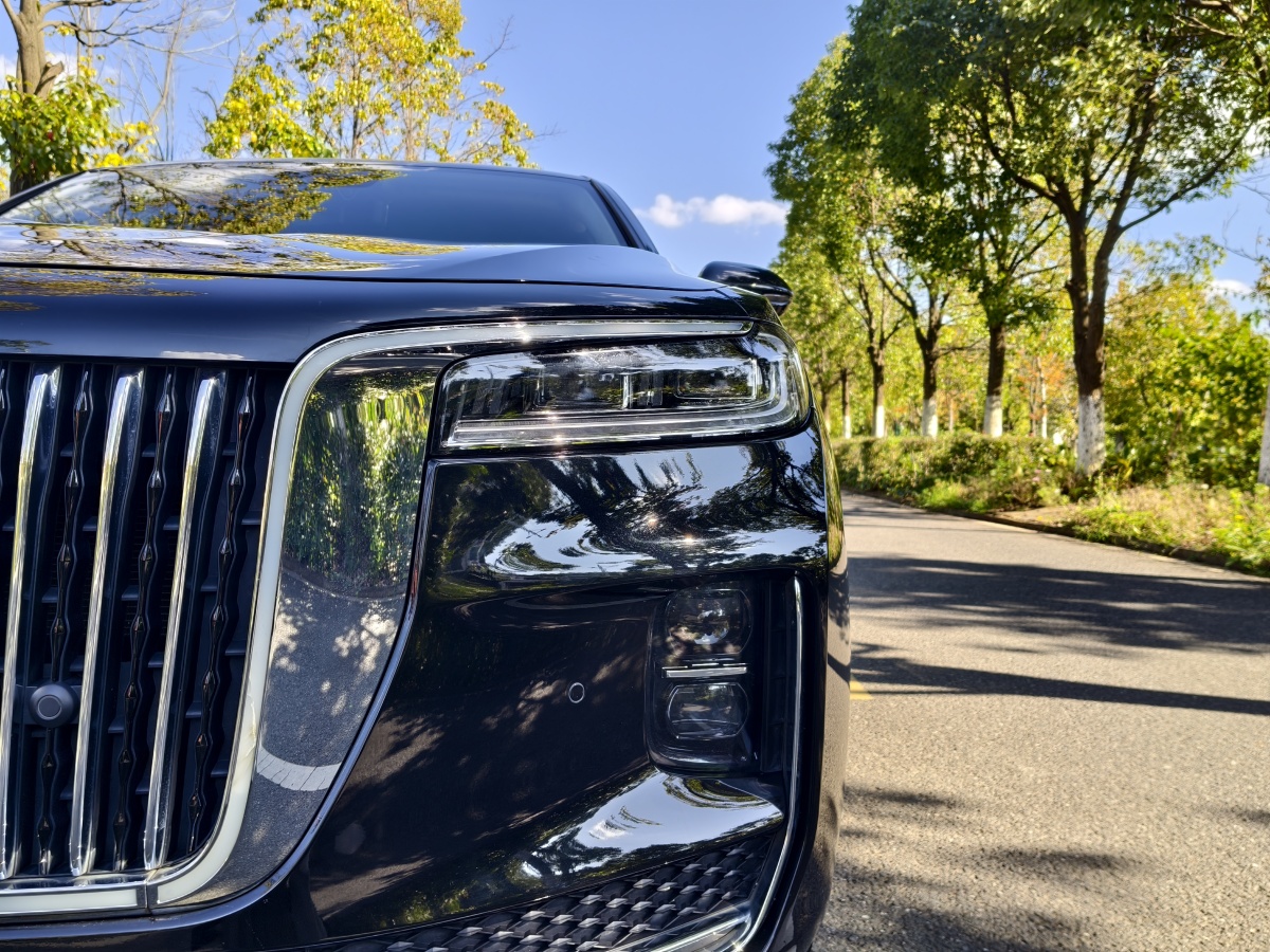 HongQi H9 2022 #30 HongQi H9 2022 immagine di auto #30