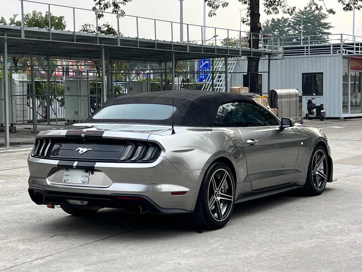 Ford Mustang 2019 #30 Ford Mustang 2019 immagine di auto #30