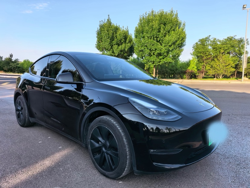Tesla Model Y 2023 #3 Tesla Model Y 2023 car image #3