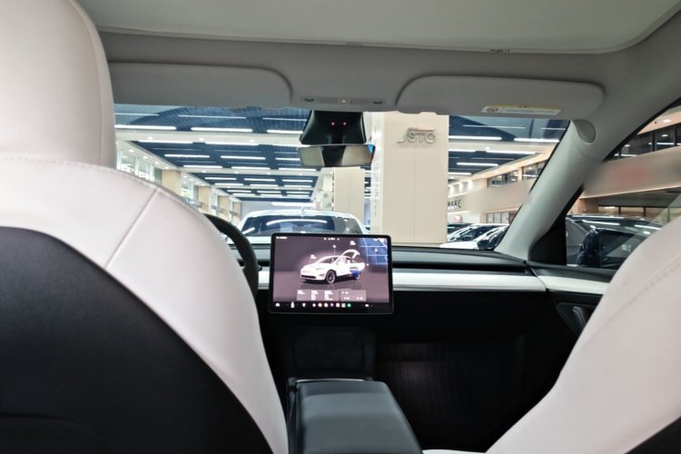 Tesla Model Y 2022 car image #18