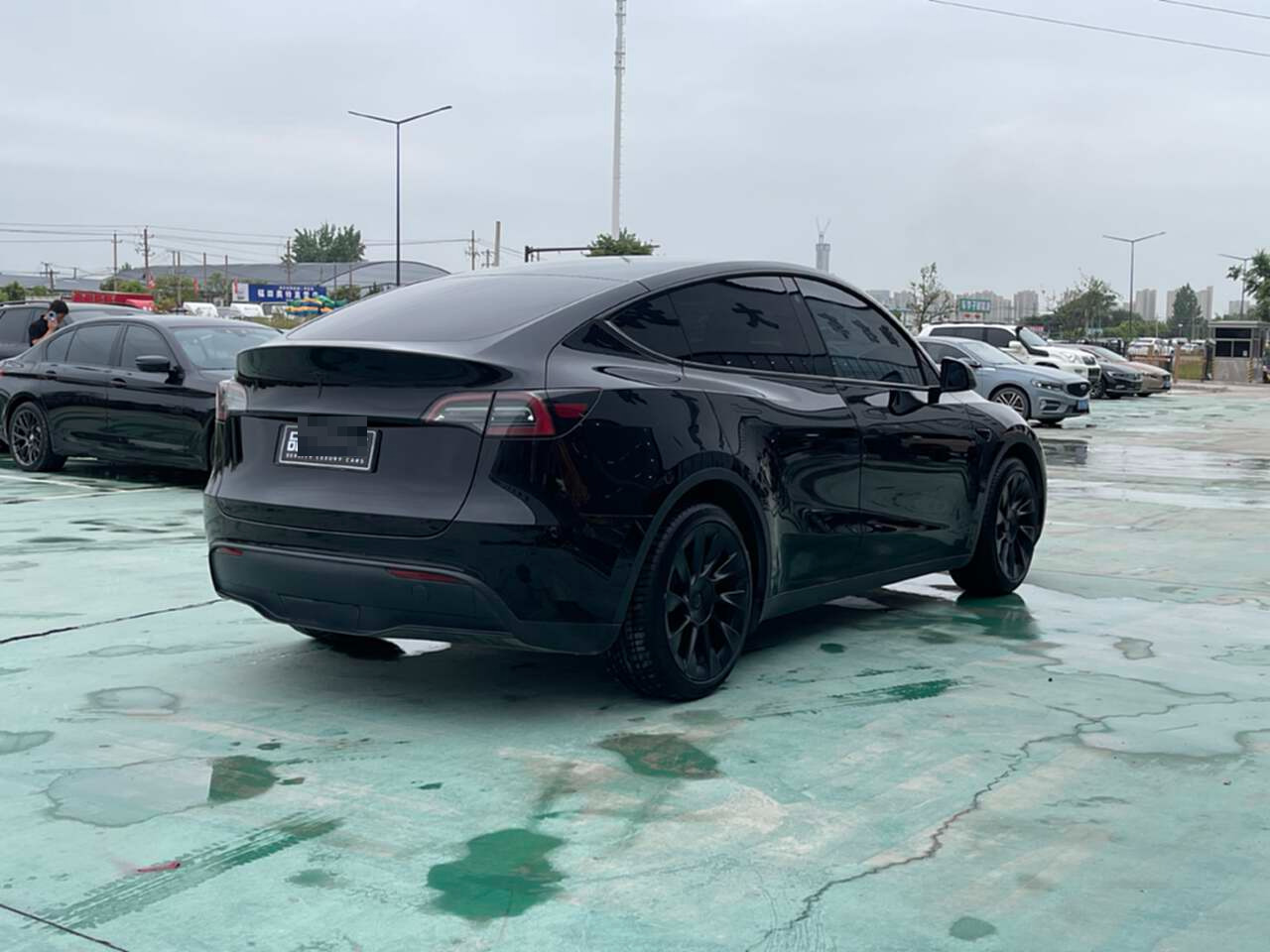 Tesla Model Y 2022 #7 Tesla Model Y 2022 car image #7