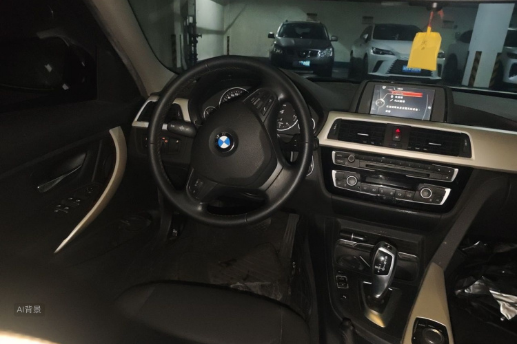 BMW 3 Series 2016 car image #12