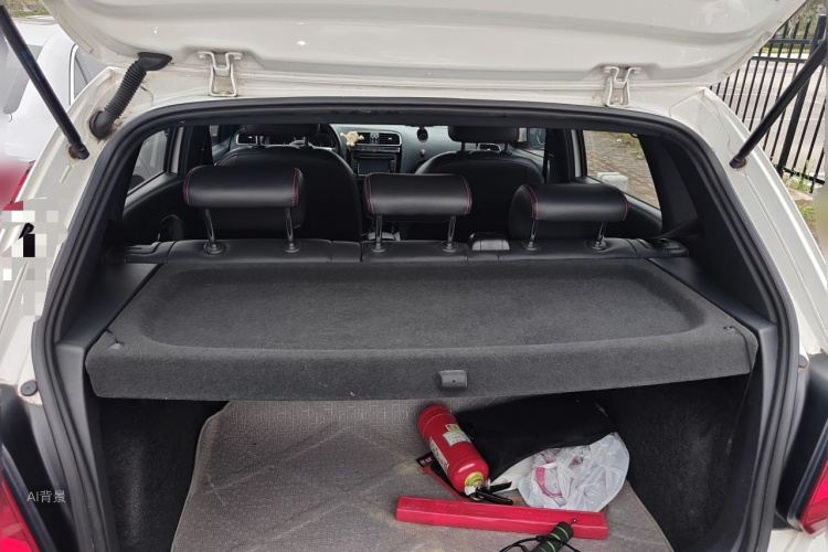 Volkswagen Polo 2016 car image #21
