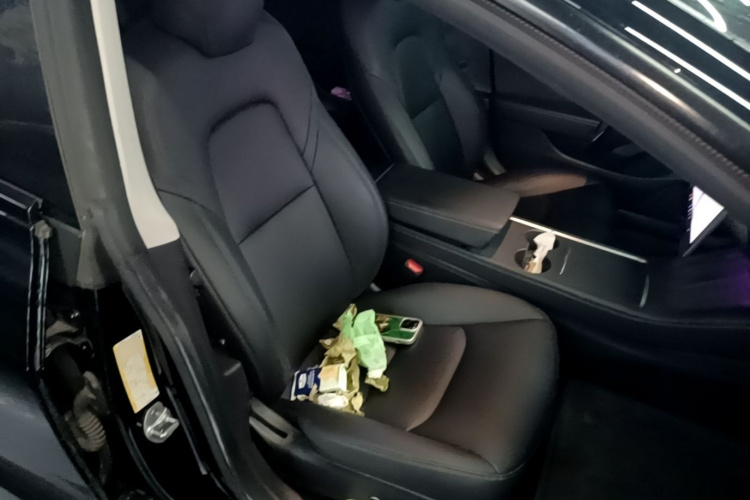 Tesla Model 3 2021 car image #25