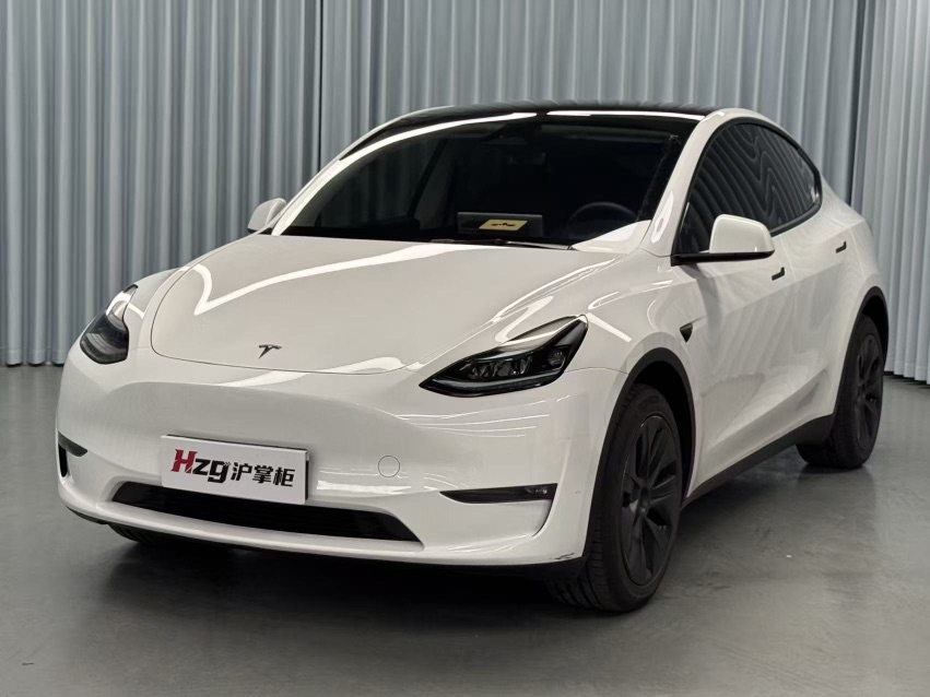Tesla Model Y 2024 Tesla Model Y 2024 car image