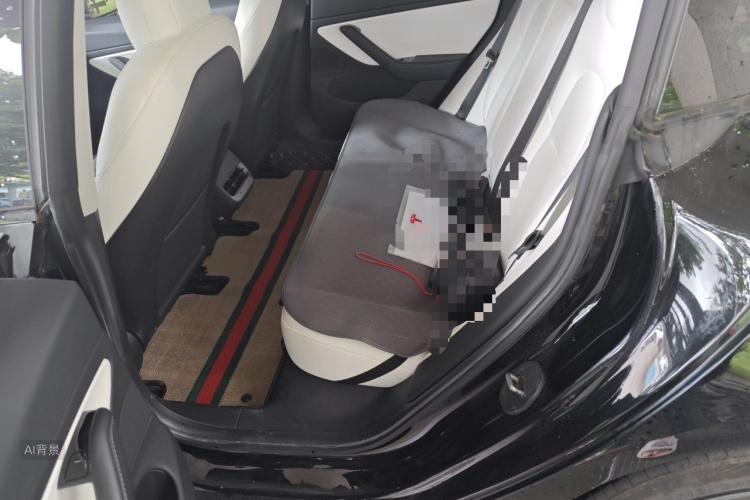 Tesla Model 3 2020 #19 Tesla Model 3 2020 car image #19