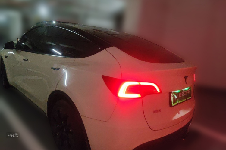 Tesla Model Y 2023 car image #5