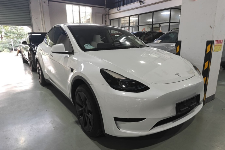 Tesla Model Y 2023 car image #4
