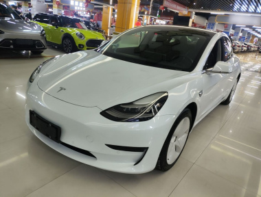 Tesla Model 3 2020 Tesla Model 3 2020 car image