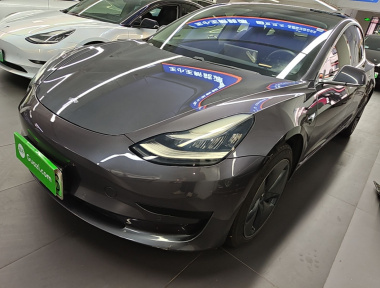 Tesla Model 3 2020 Tesla Model 3 2020 car image
