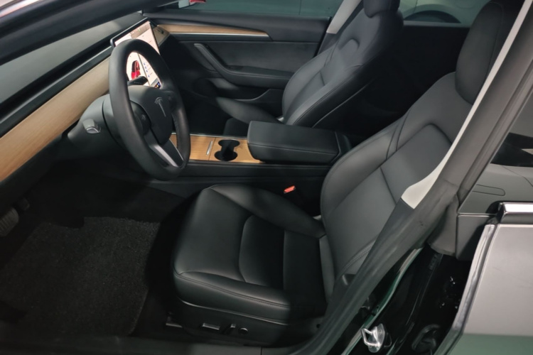 Tesla Model 3 2021 #15 Tesla Model 3 2021 car image #15