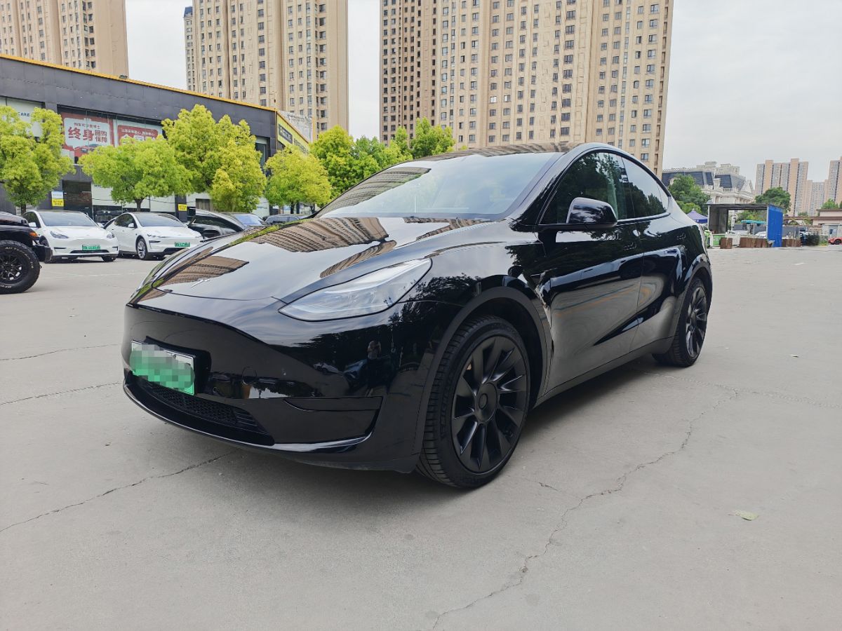 Tesla Model Y 2022 Tesla Model Y 2022 car image