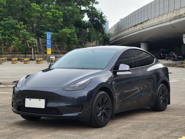 Tesla Model Y 2024 car image #18