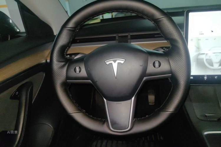 Tesla Model 3 2021 car image #12