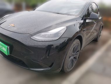 Tesla Model Y 2024 car image 