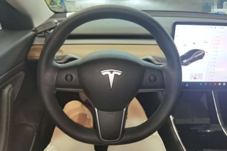 Tesla Model 3 2020 immagine di auto #14