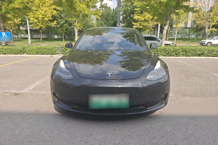 Tesla Model 3 2021 #3 Tesla Model 3 2021 car image #3