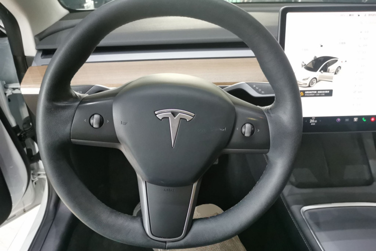 Tesla Model 3 2021 #11 Tesla Model 3 2021 car image #11