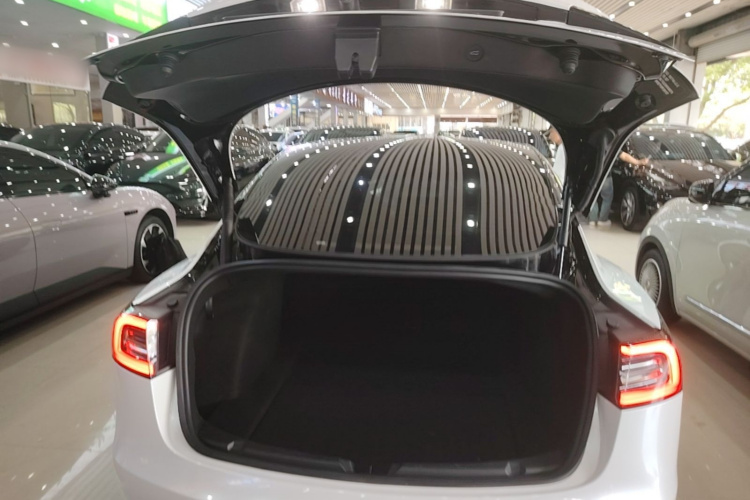 Tesla Model 3 2023 car image #19