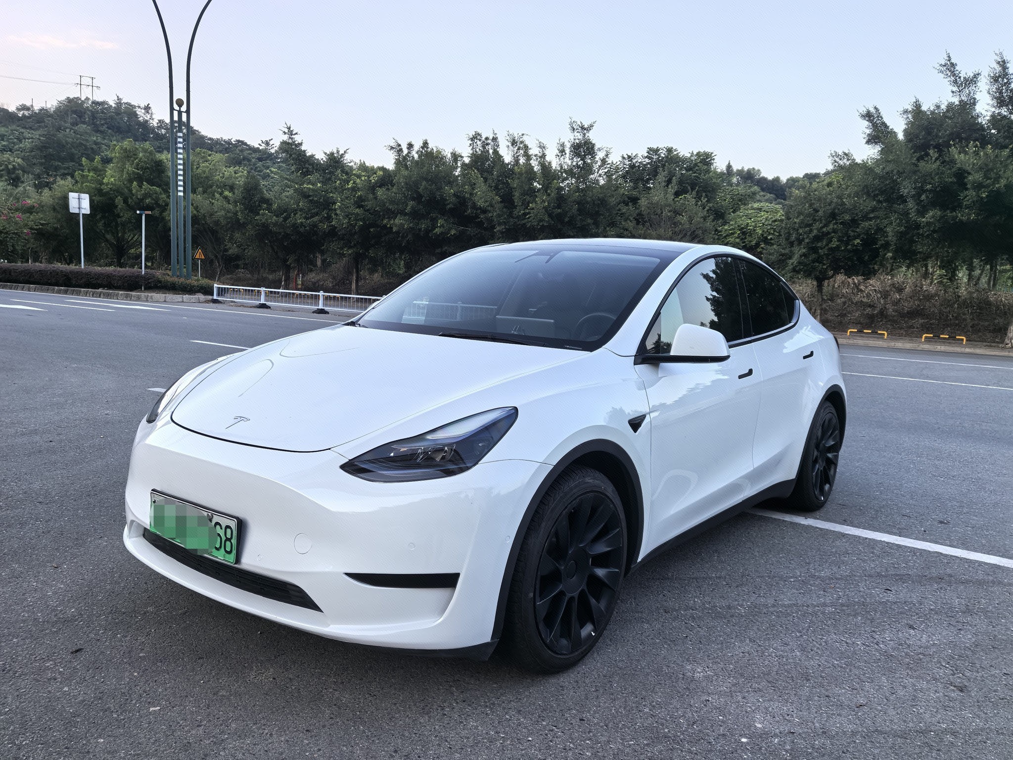 Tesla Model Y 2023 Tesla Model Y 2023 car image