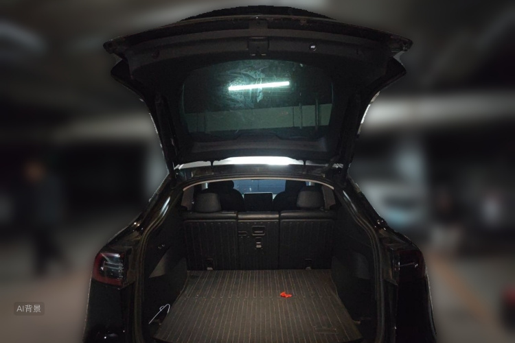 Tesla Model Y 2023 car image #21
