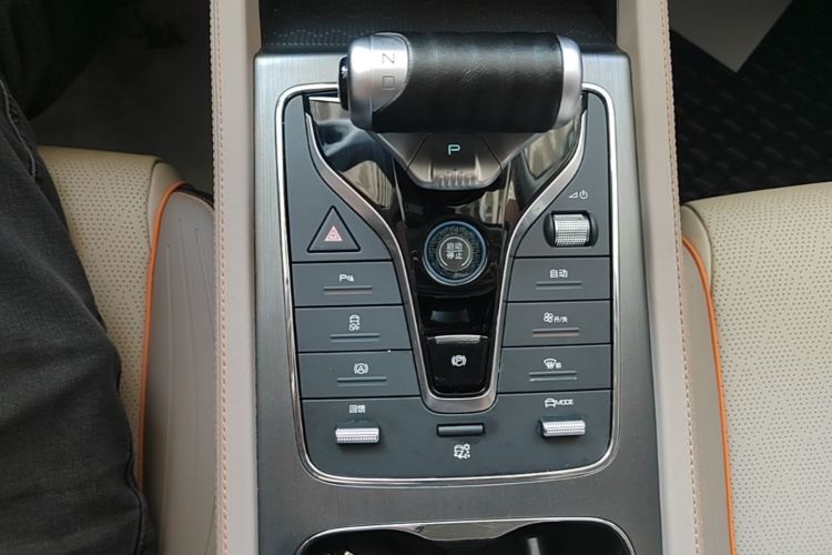 BYD Yuan Plus 2023 car image #19