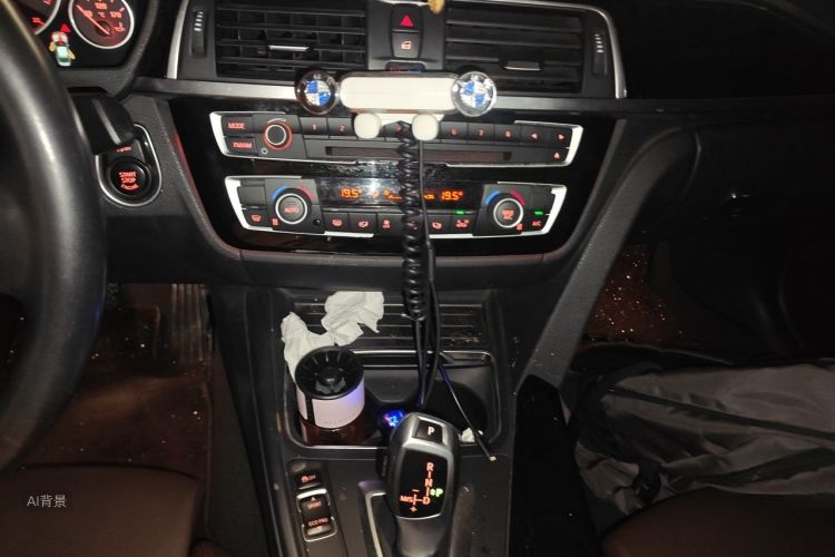 BMW 3 Series 2019 car image #15