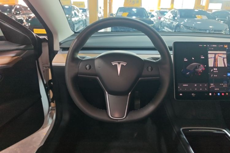 Tesla Model 3 2021 #15 Tesla Model 3 2021 car image #15