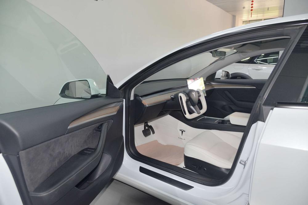 Tesla Model 3 2021 imagem de carro #21