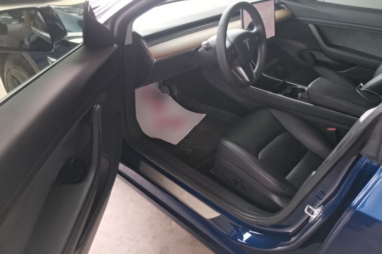 Tesla Model 3 2020 car image #16