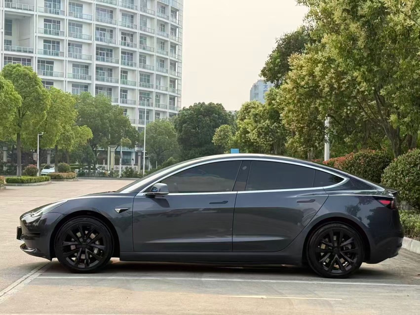 Tesla Model 3 2021 #3 Tesla Model 3 2021 car image #3