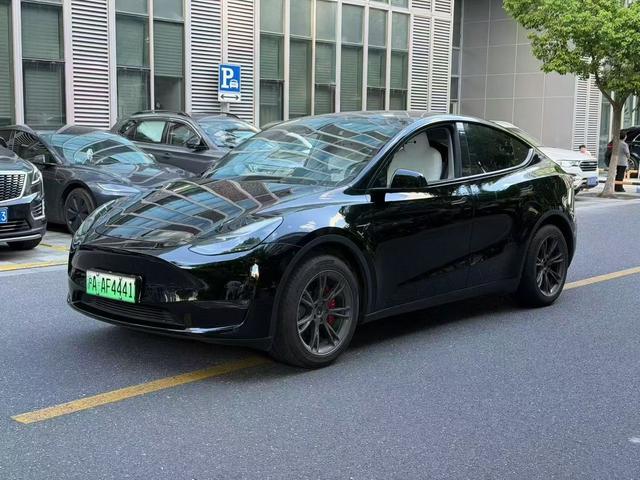 Tesla Model Y 2023 صورة سيارة #10